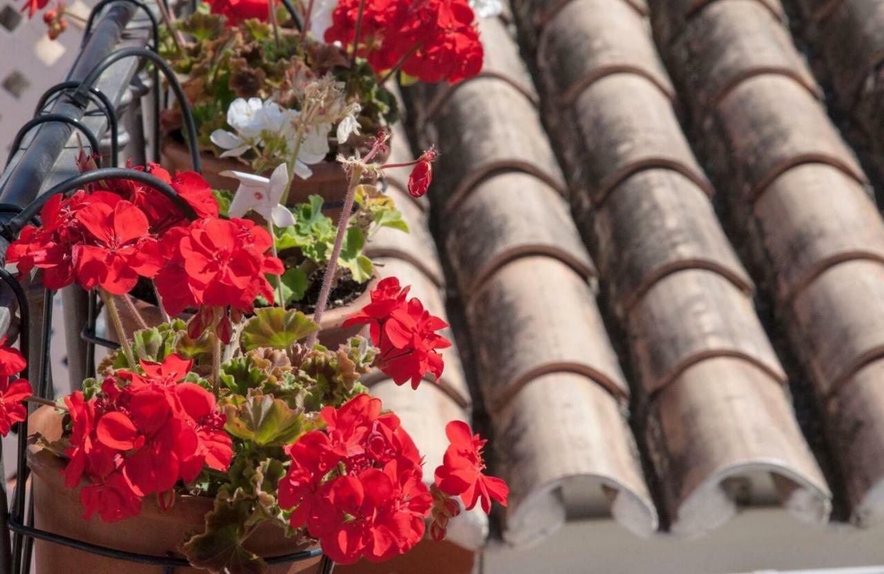 La Blanca Casita Leilighet Málaga Eksteriør bilde